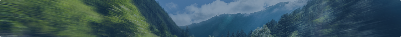 carsbanner